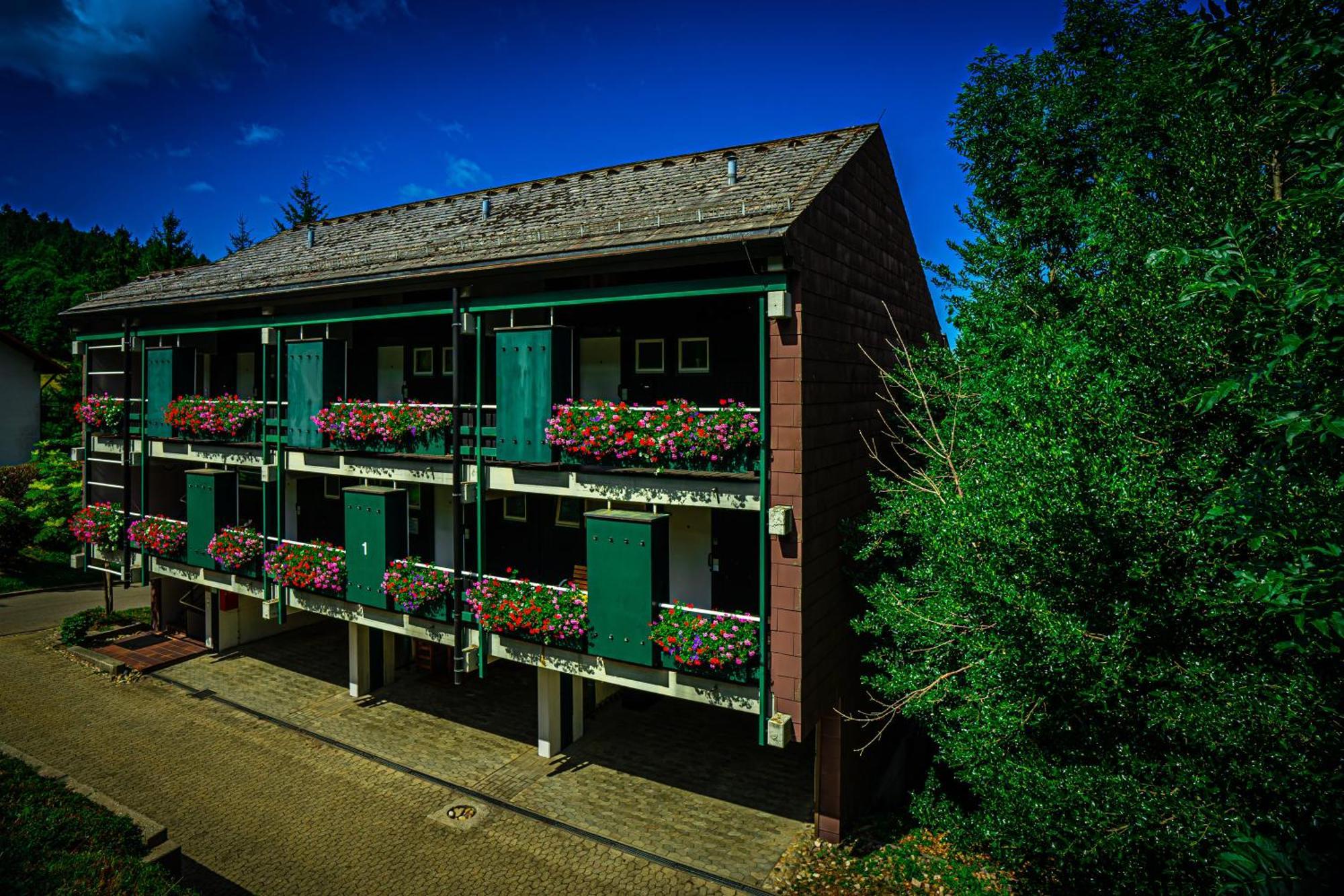 Natur Tanken Im Schwarzwald ザスバッハヴァルデン エクステリア 写真