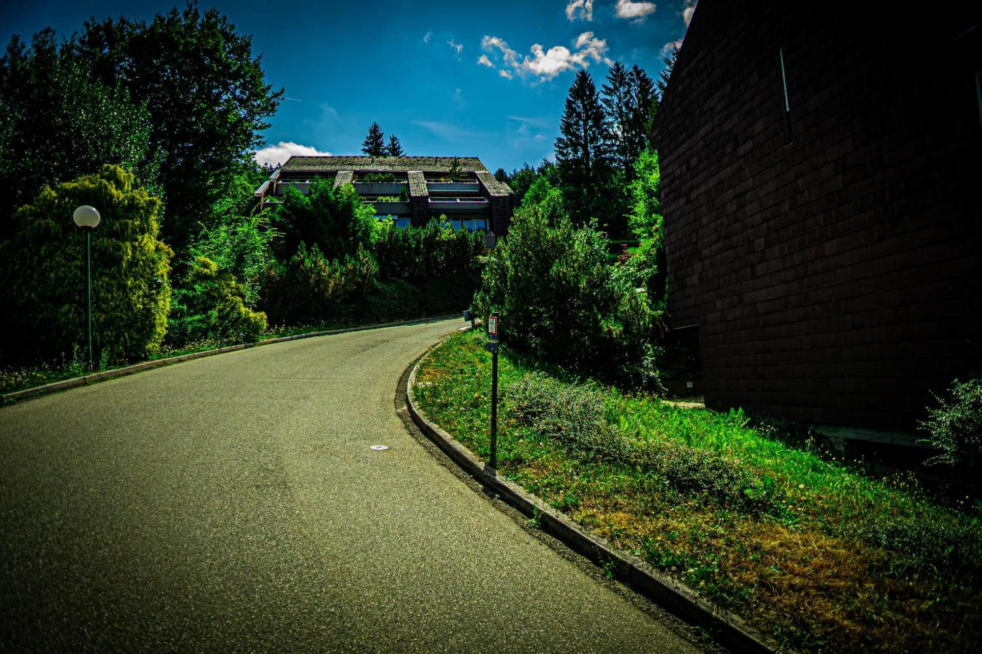 Natur Tanken Im Schwarzwald ザスバッハヴァルデン エクステリア 写真