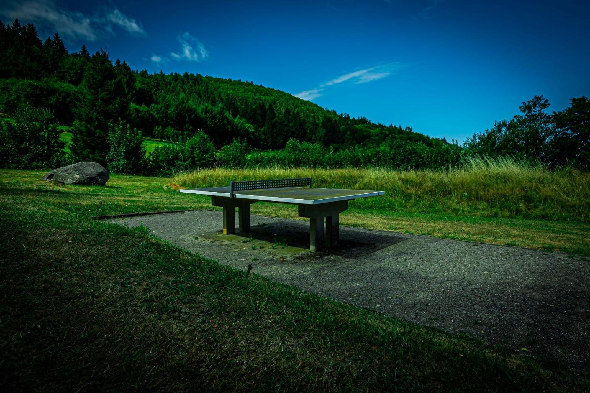 Natur Tanken Im Schwarzwald ザスバッハヴァルデン エクステリア 写真