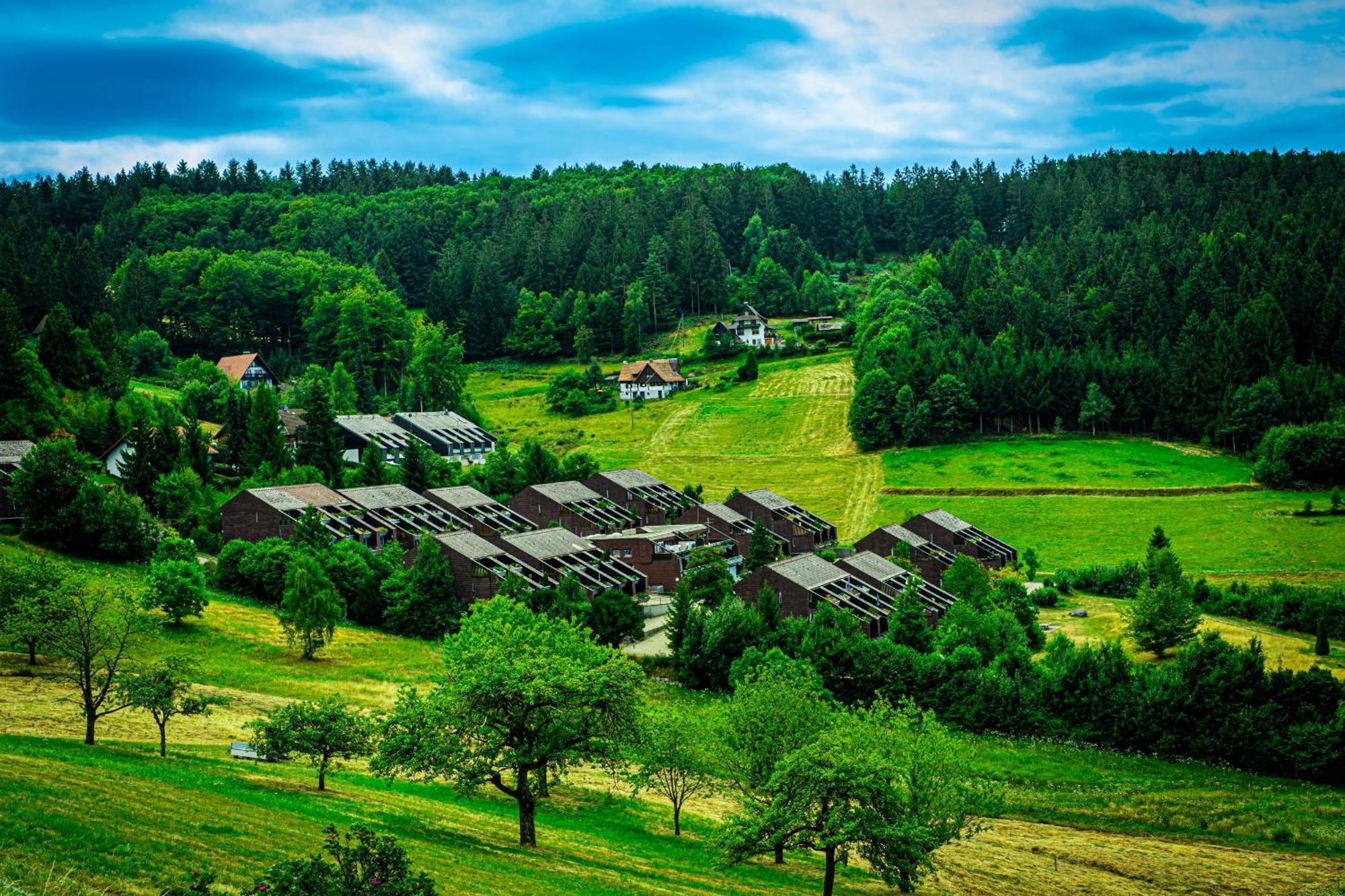 Natur Tanken Im Schwarzwald ザスバッハヴァルデン エクステリア 写真